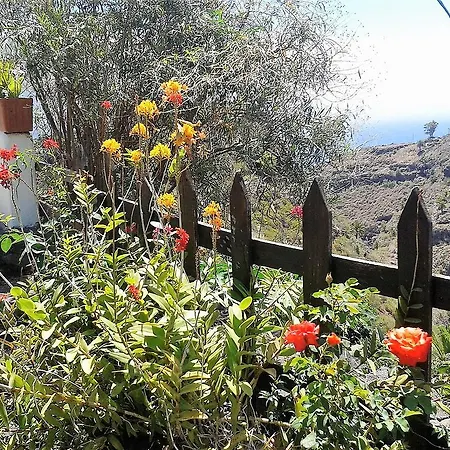 El Abuelo Breña Baja